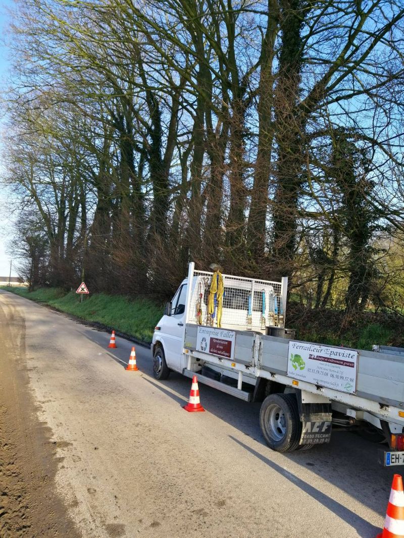 Élagage pour passer la fibre 